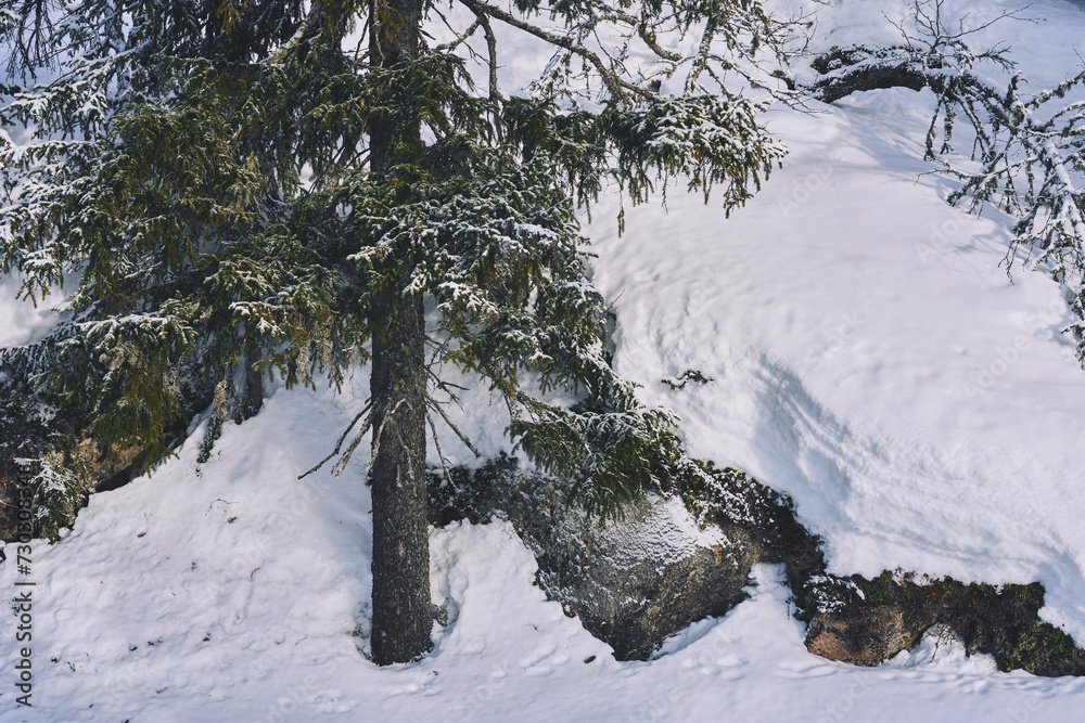 Φωτογραφία Image from the Totenaasen Hills in winter, from a walk from Oksbakken to Langsetra and Anfinnsetra summer farms, and back again through Smordalen and Hemningsdalen valleys