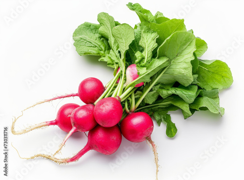 Fresh, bright red radish with green leaves, isolated on a white background.