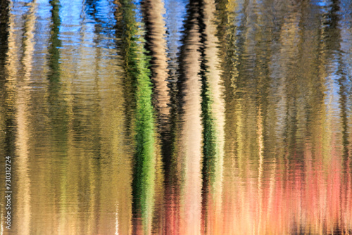 Reflection of trees and bushes in the water of a canal on a sunny winter day with a blue sky
