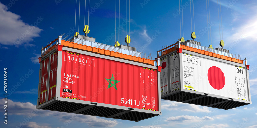Shipping containers with flags of Morocco and Japan - 3D illustration