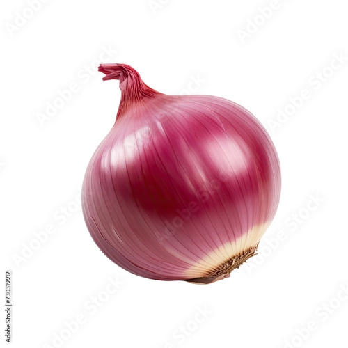 Fresh red onion on transparent background