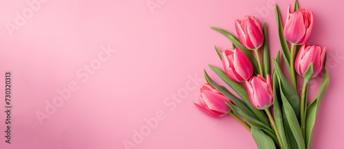 bunch of fresh pink tulips on a soft pink backdrop symbolizing springtime, women's and mother's day celebration with large  copy space for text 
