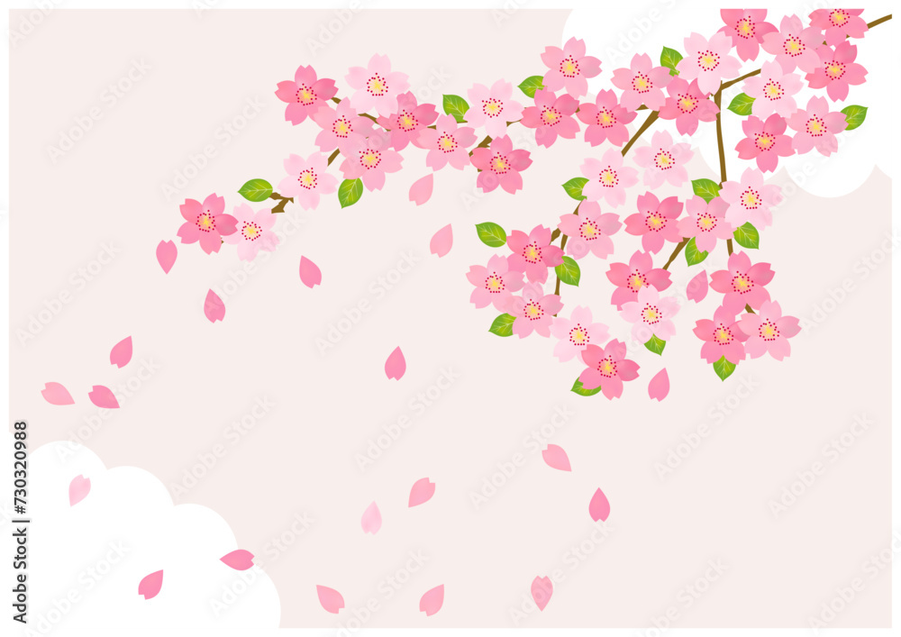 桜の花が美しい春の桜フレーム背景34