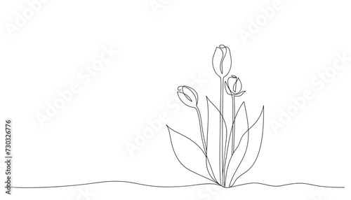 Abstract tulip flowers drawn by one line. Sketch spring flowers. Continuous line drawing floral pattern. Romantic vector illustration in minimalist style.