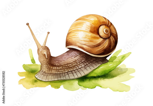 watercolor snail clipart for graphic resources