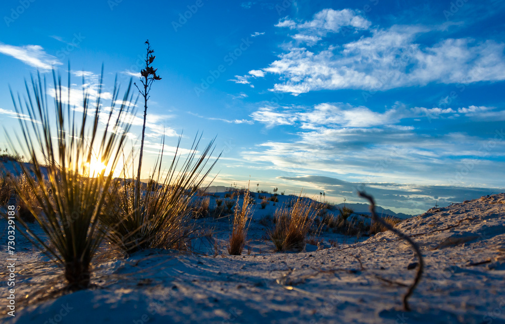 View of the Sunset over the white gypsum sands in White sands National Monument, New Mexico