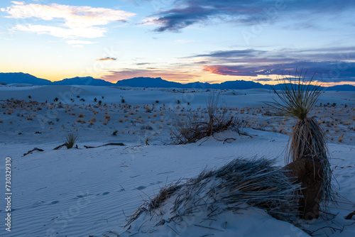 View of the Sunset over the white gypsum sands in White sands National Monument  New Mexico