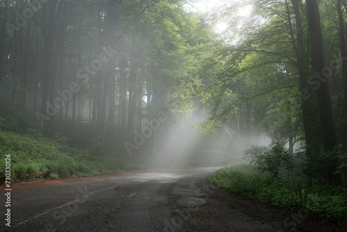 The road is illuminated by sun rays breaking through the fog in the mountains