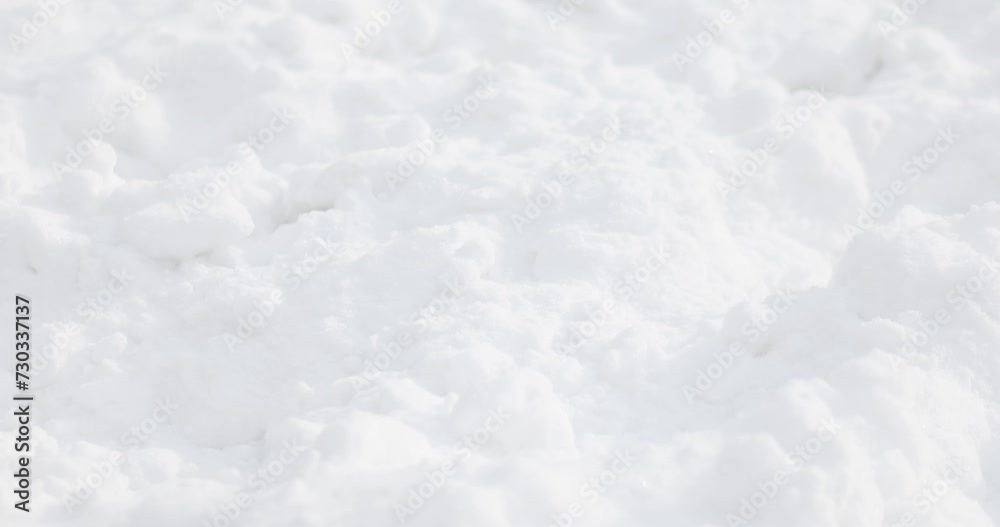 Legs of white horse going among snow at winter, close up Legs of white horse going among snow at winter, close up