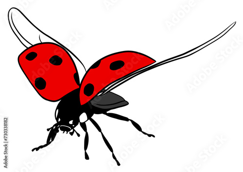 Flying ladybug illustration on transparent background	
