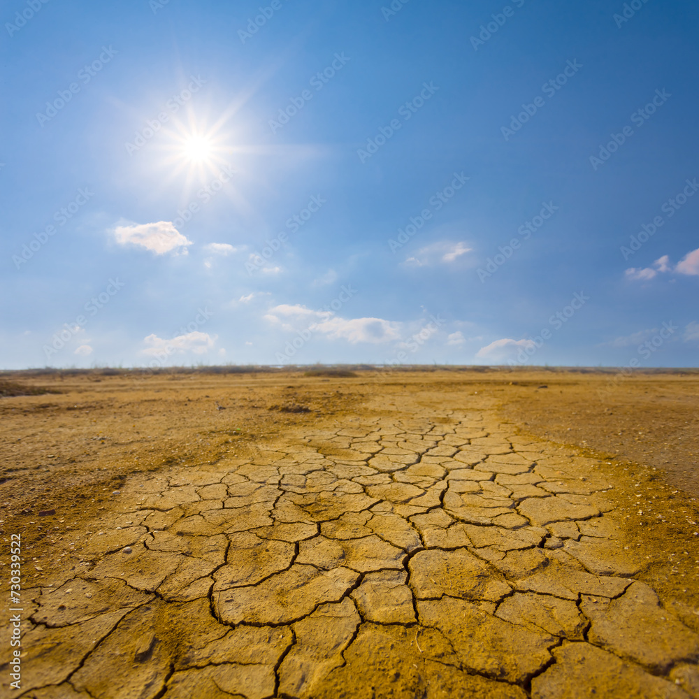 wide dry cracked earth at the hot summer sunny day