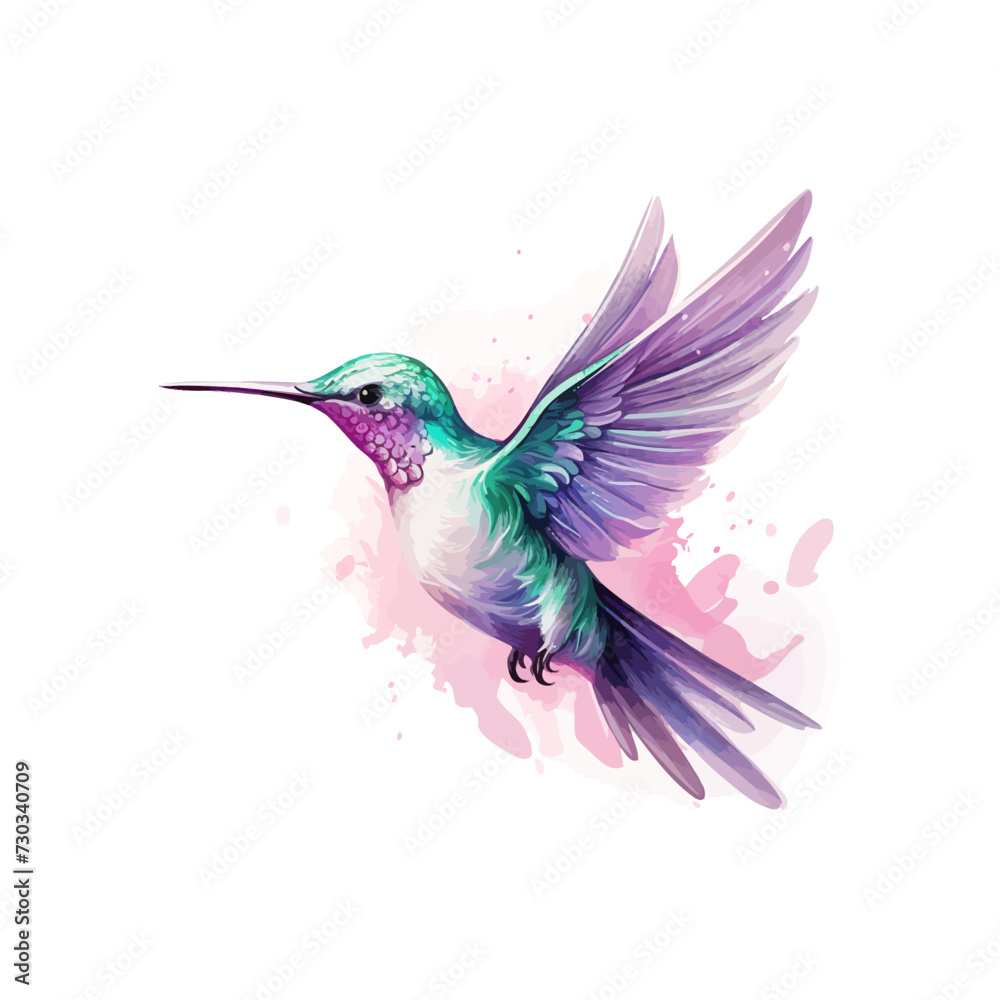 Hummingbird bird watercolor. Vector illustration design.