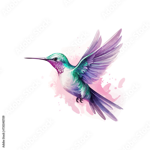 Hummingbird bird watercolor. Vector illustration design.