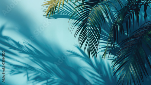 Tropical palms leaf shadow on a blue background