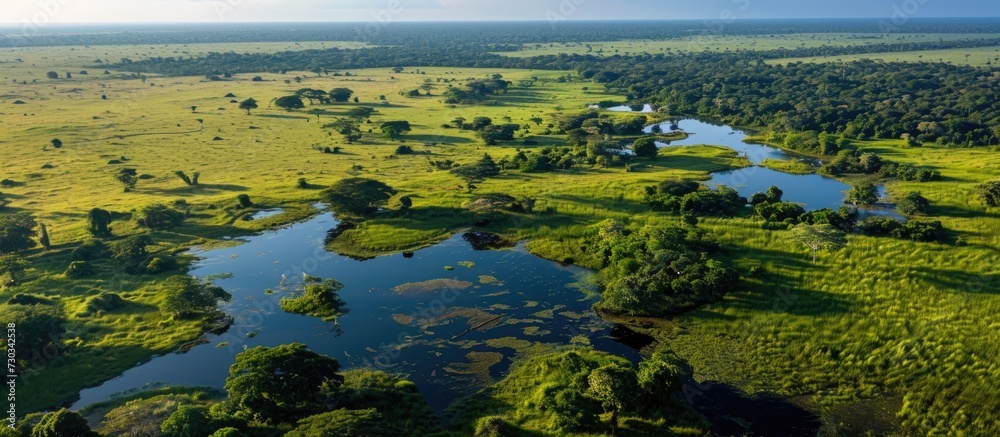 Breathtaking birds-eye perspective of lush Pantanal greenery and expansive fields.