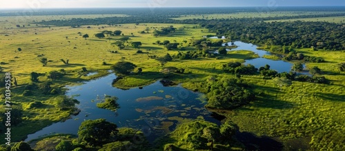 Breathtaking birds-eye perspective of lush Pantanal greenery and expansive fields.