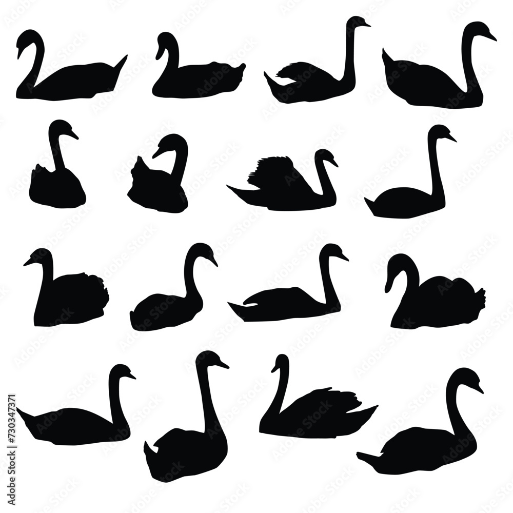 Silhouettes of swans isolated set, vector illustration Silhouettes of swans isolated set, vector illustration