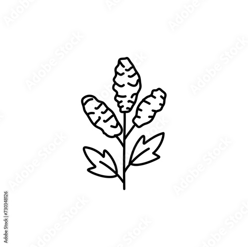 Hand drawn cereal icon