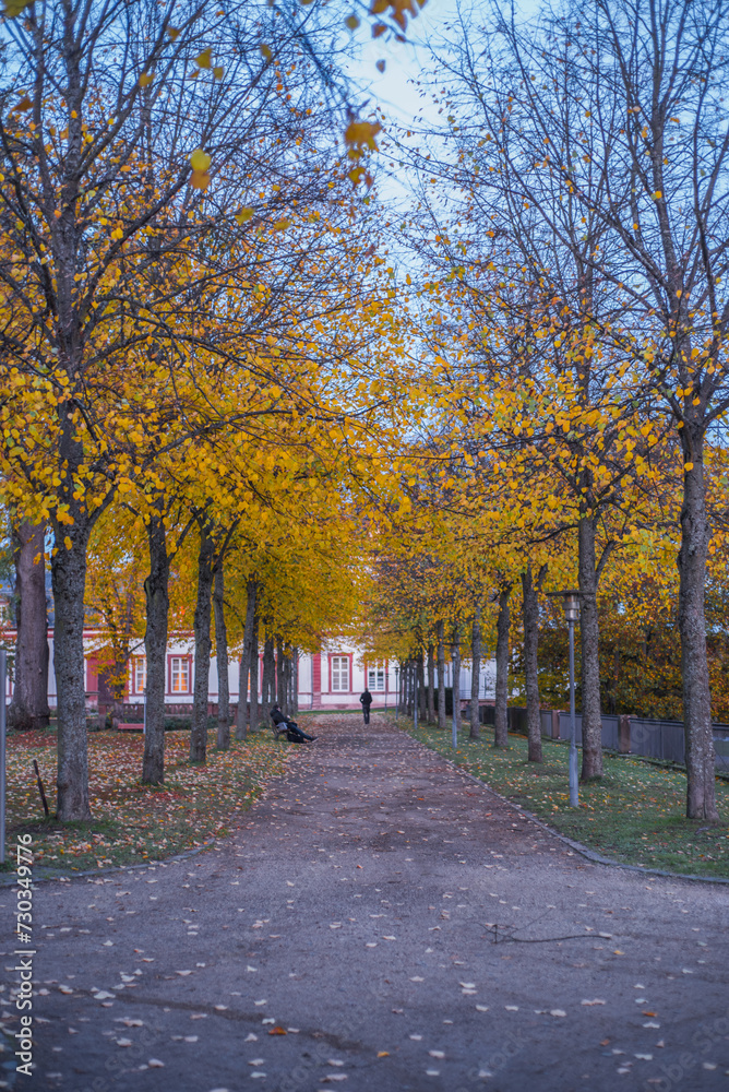 Fototapeta premium gelb ist schön 