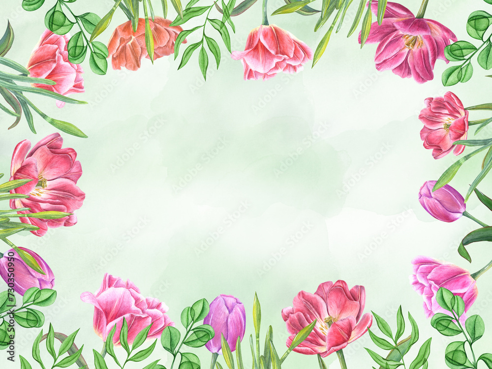 Pink tulips and daffodils on watercolor green surface. Spring flowers with greenery. Garden double tulips, narcissus buds, leaves. Watercolor illustration isolated on white. Copy space for text.