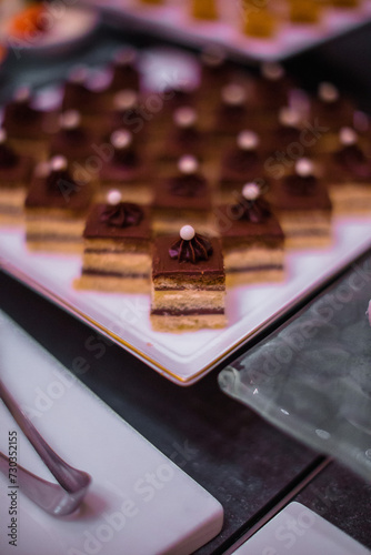 Chocolate Mousse Piece of Cake. Delicious Desserts. 