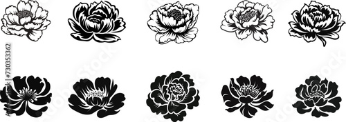 Set of Flower icons. Peony flower with leaves. Peonies hand drawn vector art. Black silhouette of peony flower photo