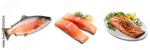 Set of Salmon on transparency , png