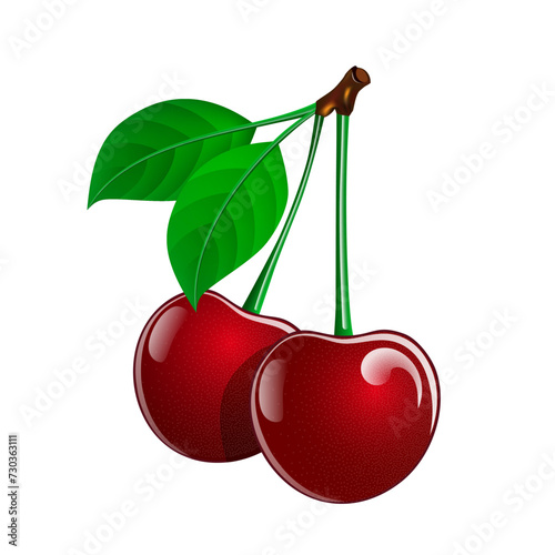 Illustration of two vector juicy cherries with leaves on a white background