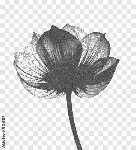 Transparent dot art flower, halftone collage design element. Grunge cut out sticker. Noise grain gradient, stipple texture effect. Trendy modern retro vector floral illustration. Duotone overlay style