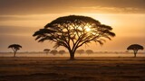 Symbolbild einzelner Baum in der afrikanischen Savanne