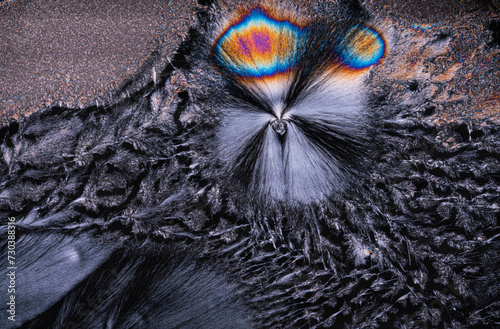 Abstract magnetic patterns with colorful iridescence