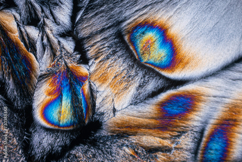 Colorful iridescence on a microscopic view of butterfly wings photo