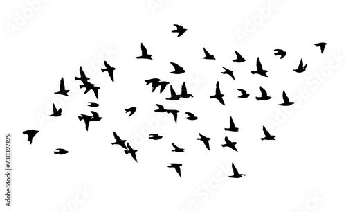 Flying birds silhouette flock. hand drawing. Not AI, Vector illustration