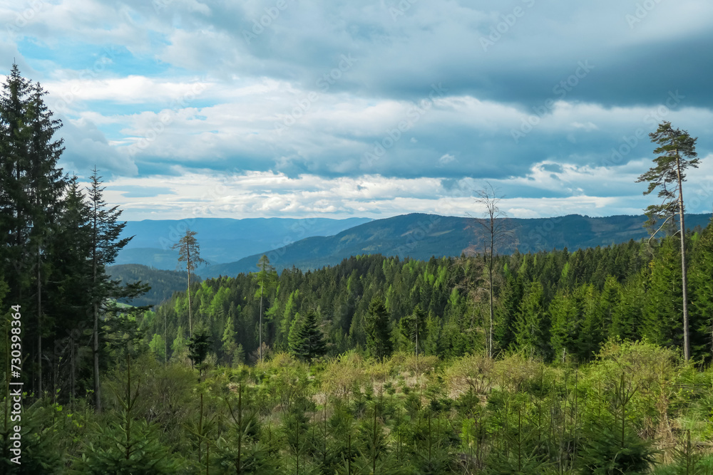 Obraz premium Panoramic view from Dreieckkogel in Lavanttal Alps, South Styria, Austria, Europe. Remote forest and hill landscape in Austrian Alps on cloudy overcast day. Hiking in wilderness. Peace of mind