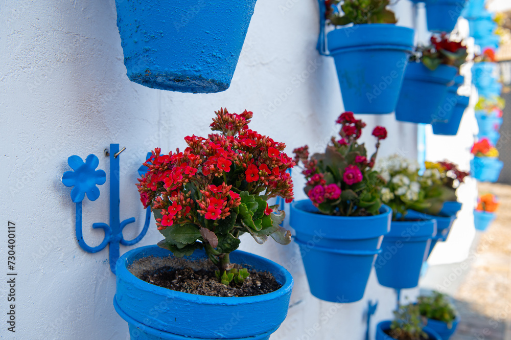 White house decorated with blue flower pots on the walls and colourful flowers in Iznájar in Patio De Las Comedias, Andalusia, Spain. Picturesque Spanish village in sunny weather.