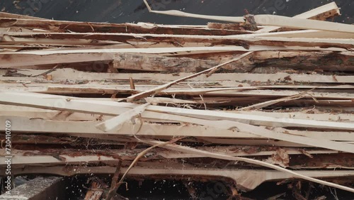 Huge amounts of sawed wooden scrap is collected in a pile. A Worker is taking multiple sawed wood scrap waste out of the stack. Recycling of the sawed wood scrap pieces at the industrial factory.