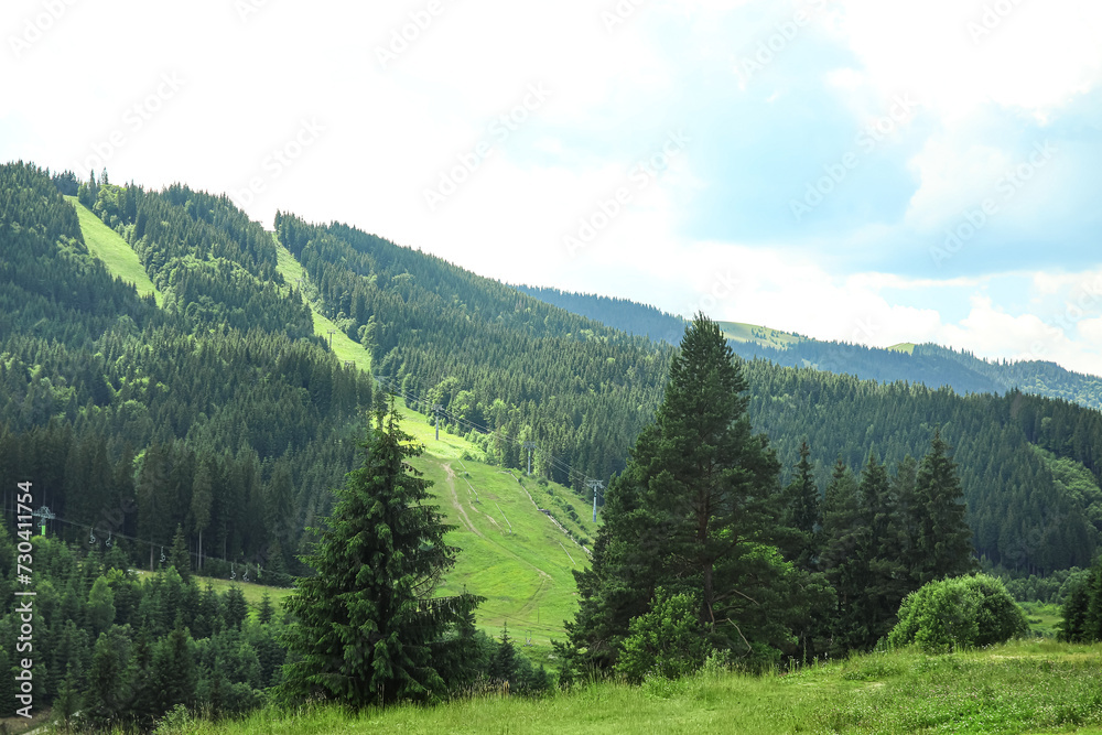 Mountain landscape with green forest in Carpathians, Ukraine