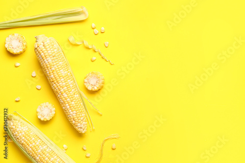 Fresh corn cobs and seeds on yellow background © Pixel-Shot