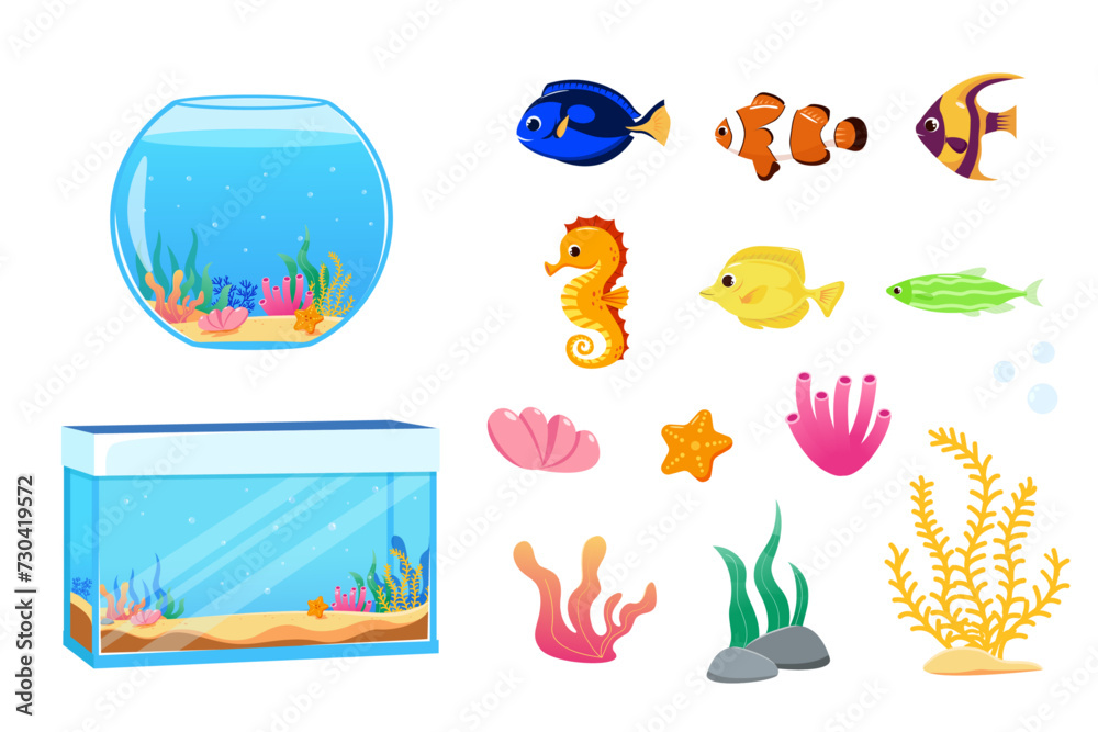 Aquarium set of graphic elements in flat design. Set of exotic or tropical fish, aquarium, net, algae, shell, fish food and other accessories. Vector illustrations of isolated objects