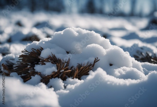 A sunny winter scene with a snow pile in nature