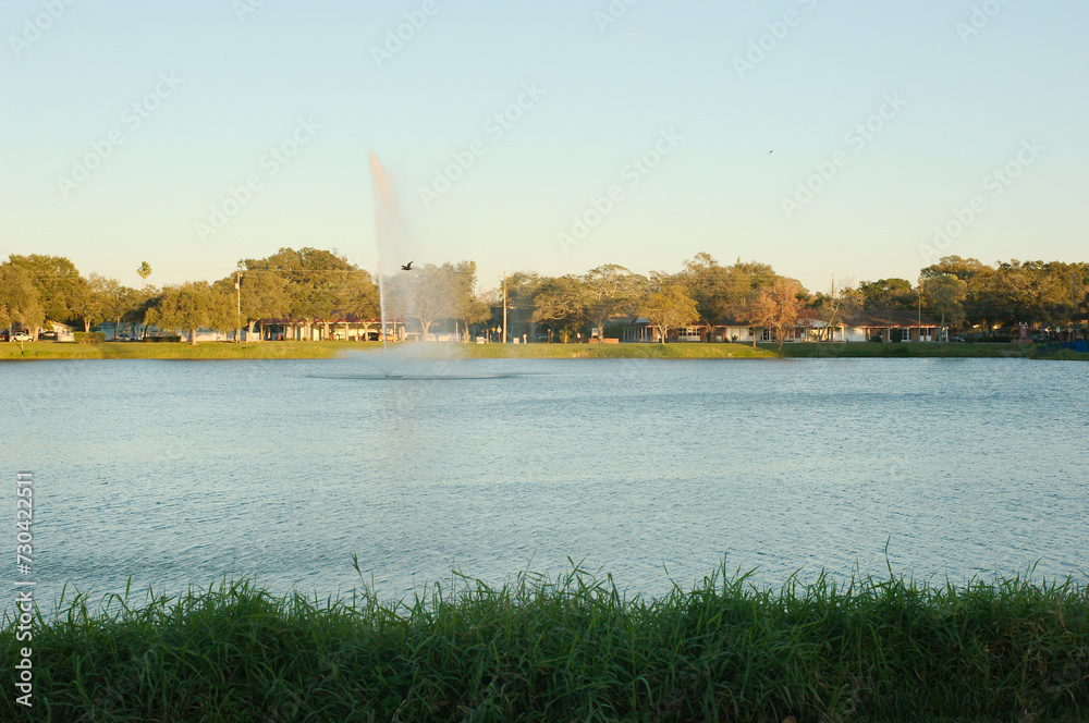 Jorgensen Lake Park Fountain in St. Petersburg, Florida late afternoon wide view. Green grass in foreground with water shooting up from fountain. Bird in mid air over the water fountain spray.