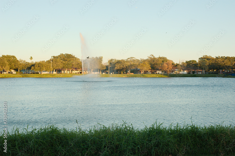 Fototapeta premium Jorgensen Lake Park Fountain in St. Petersburg, Florida late afternoon wide view. Green grass in foreground with water shooting up from fountain. Bird in mid air over the water fountain spray.
