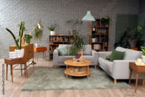 Blurred view of living room with plants, sofas and tables