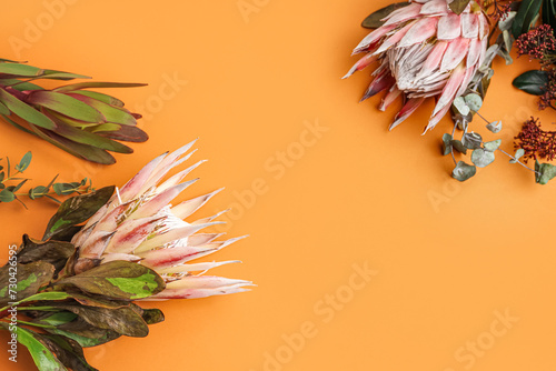 Beautiful pink protea flowe...