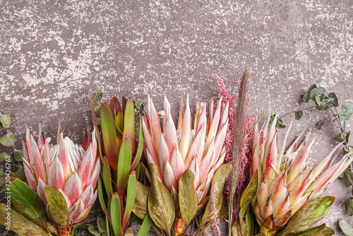Beautiful pink protea flowe...