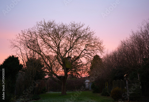 Sunset in a garden with high trees and tree house