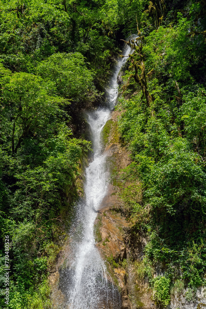 Obraz premium Enchanting Cascades: A Majestic Waterfall Embraced by a Lush Forest