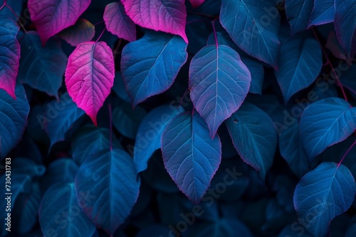 the leaves of dark blue tree are shown Generative AI