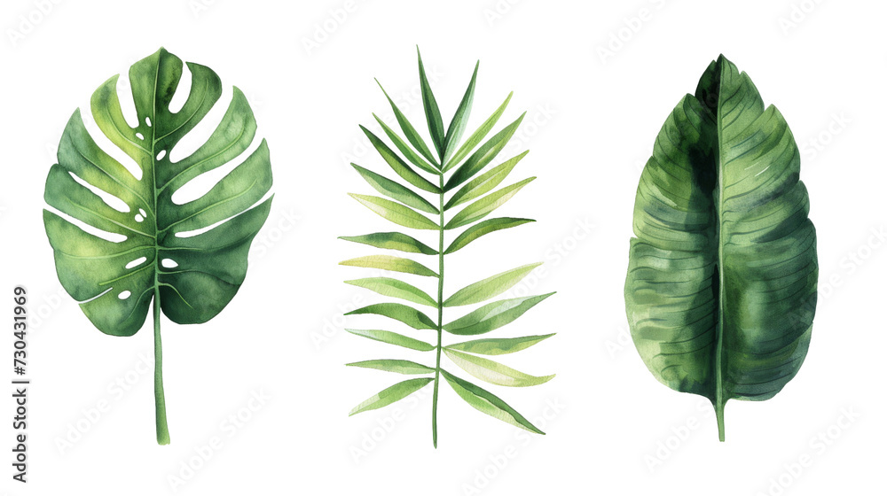 Vintage Watercolor Tropical leaves collection. palm leaf, monstera, banana leaf isolated transparent background. PNG Format.