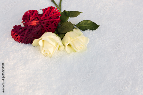 Two red hearts and white rosen on snow background.